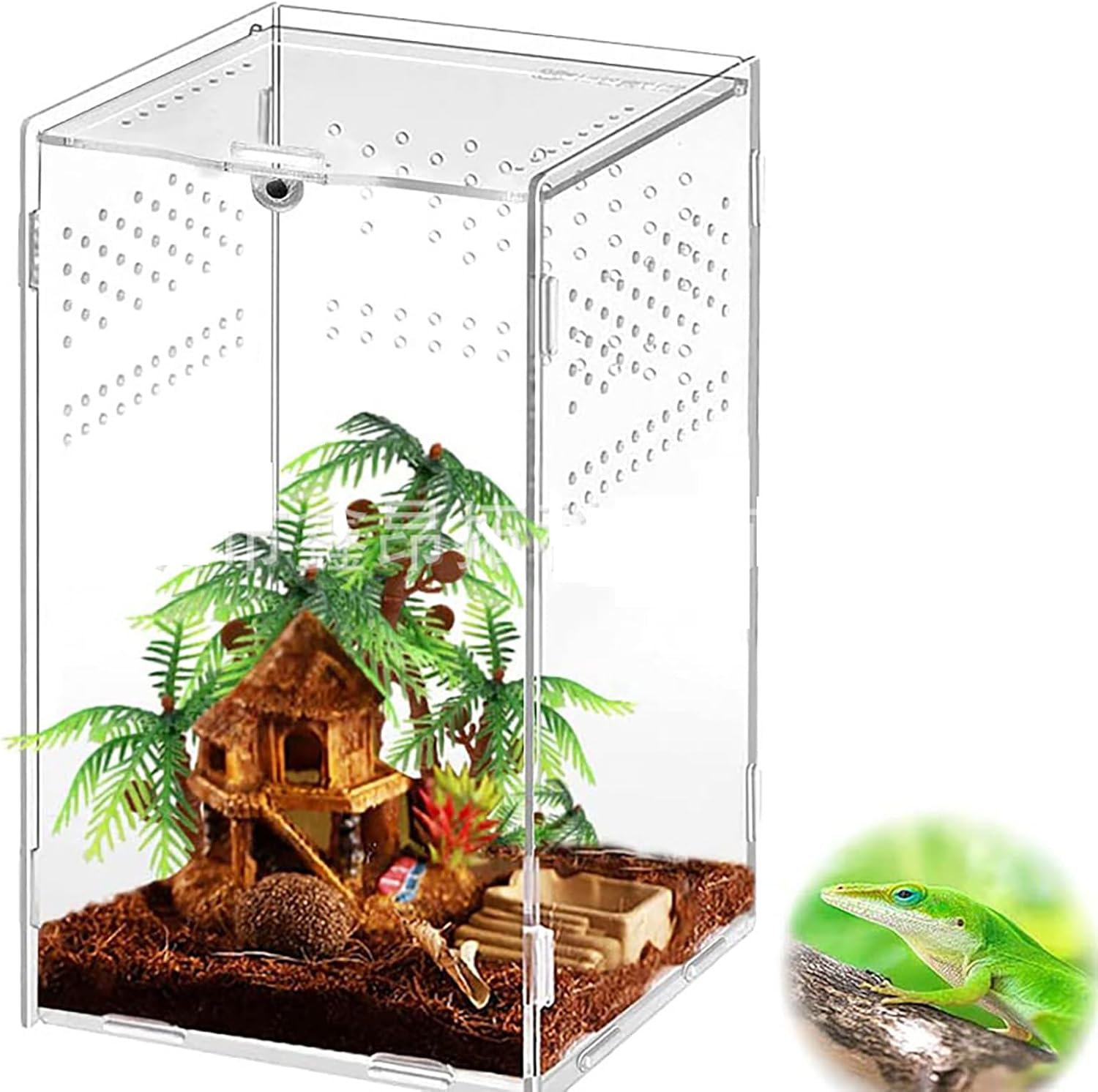AMZTEMU Terrarium phasme, Boîte à Nourrir en pour Reptiles, Ensemble de récipient en Acrylique d'insecte, Habitat Portable(12 * 12 * 20cm)