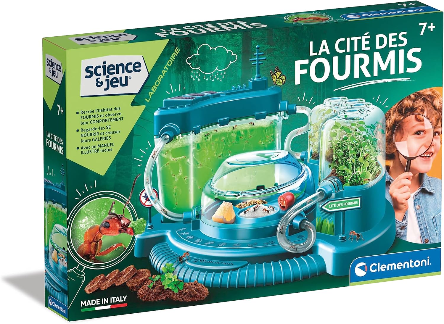 Clementoni-La cité des Fourmis, 52757, Centre