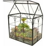 ElegantLife Terrarium en Forme de Maison Fait à la Main avec Couvercle pivotant sur Le Dessus pour fougère, Mousse, Cactus, Plantes aériennes (Plante Non Incluse)