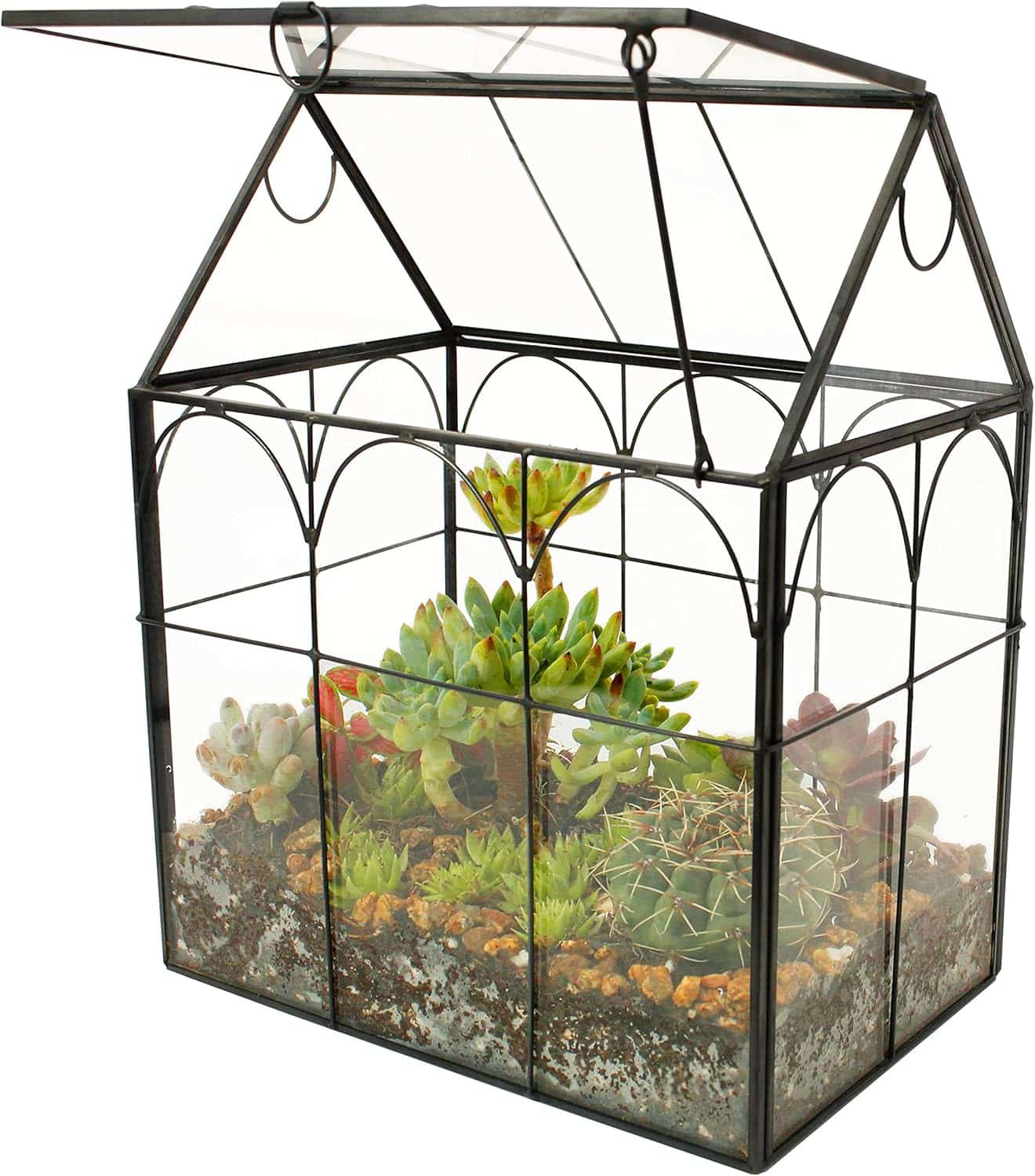 ElegantLife Terrarium en Forme de Maison Fait à la Main avec Couvercle pivotant sur Le Dessus pour fougère, Mousse, Cactus, Plantes aériennes (Plante Non Incluse)