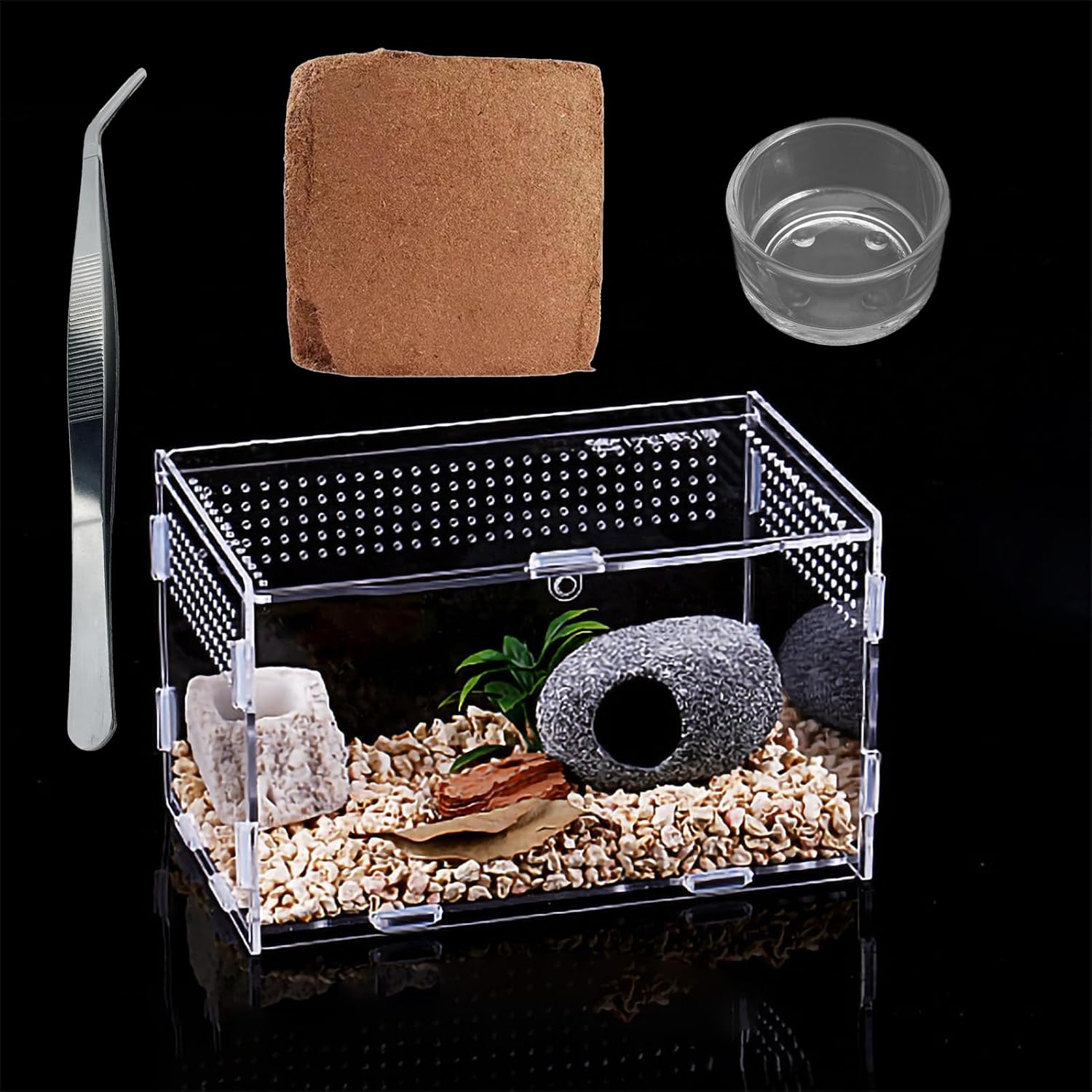 Ensemble de récipient en Verre d'insecte, récipient en Verre Acrylique, Habitat Portable pour Reptiles et Amphibiens, adapté aux araignées, lézards, Grenouilles, Scorpions, grillons, Geckos