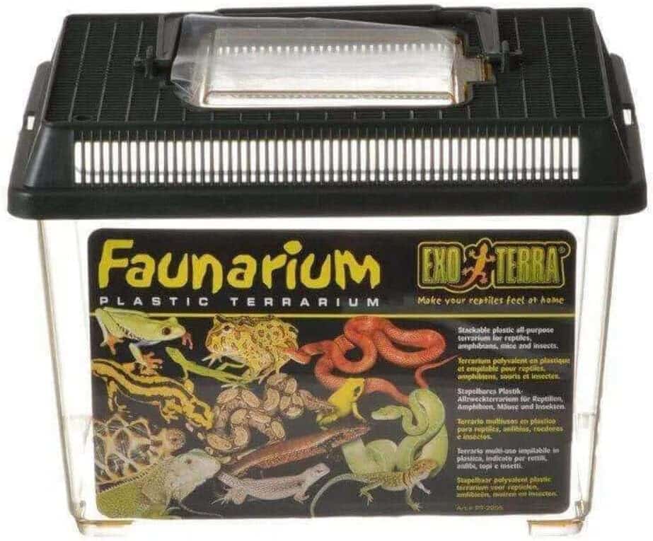 Exo Terra Faunarium Petit pour Reptiles et Amphibiens, 23 x 15,5 x 16,5 cm