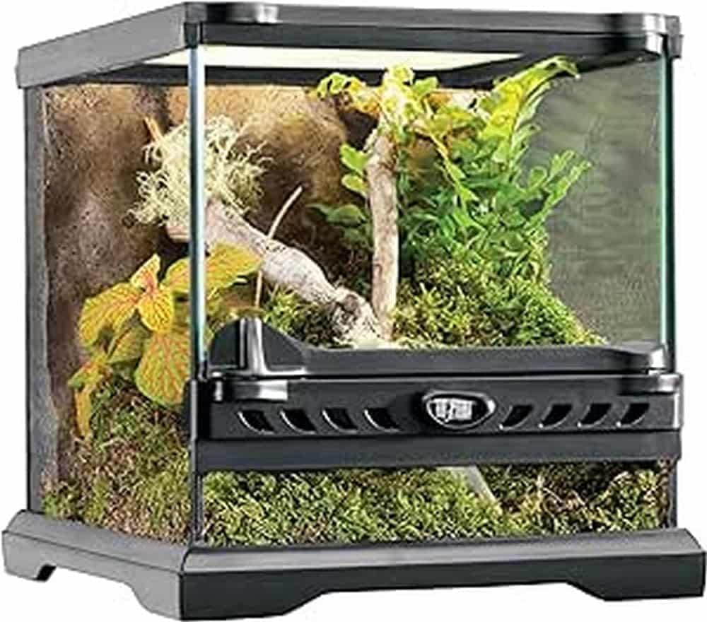 Exo terra Terrarium Naturel Nano/Wide pour Reptile/Amphibien 20 x 20 x 20 cm