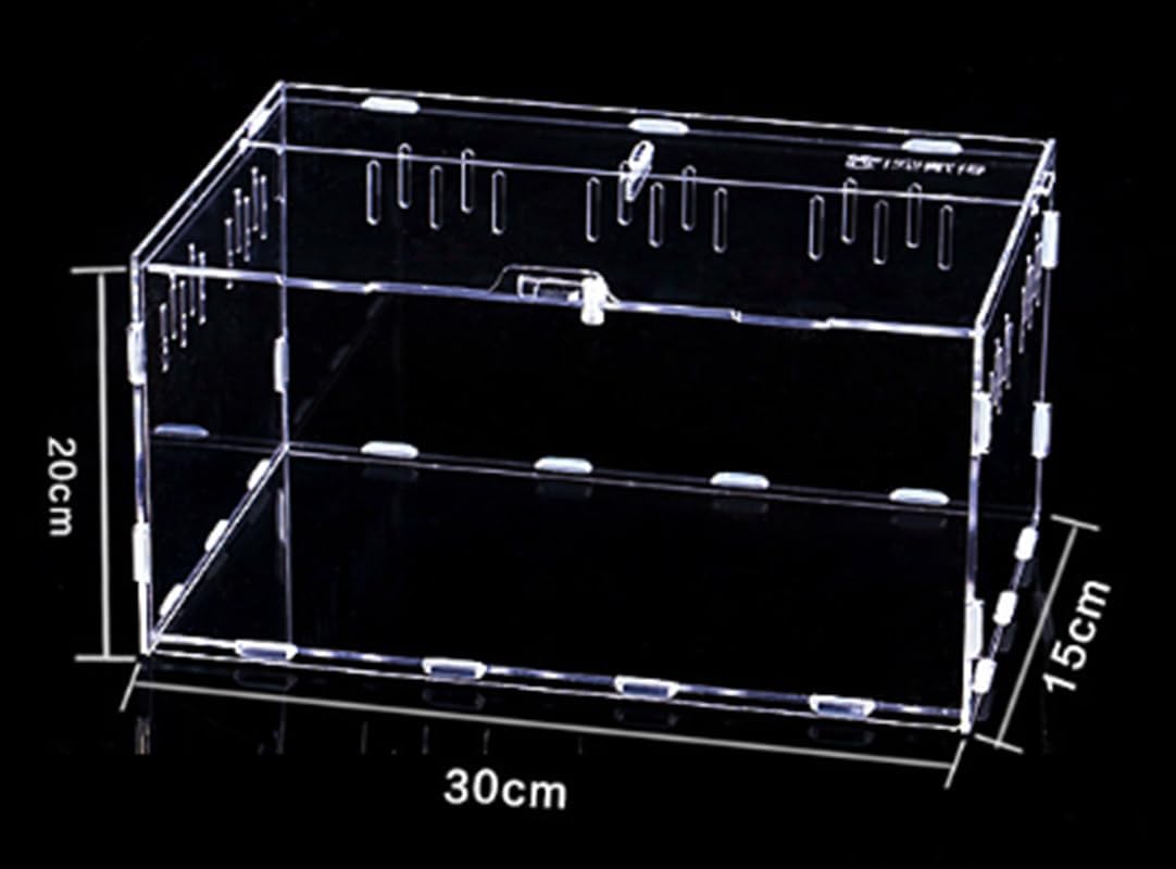 GOVNPJ Terrarium Transparent pour Escargots,en Acrylique pour Escargots Araignées Gecko Hamster Serpents Tortues Terrarium,Boîte à Nourrir en pour Reptiles (30cm x 20cm x15cm)