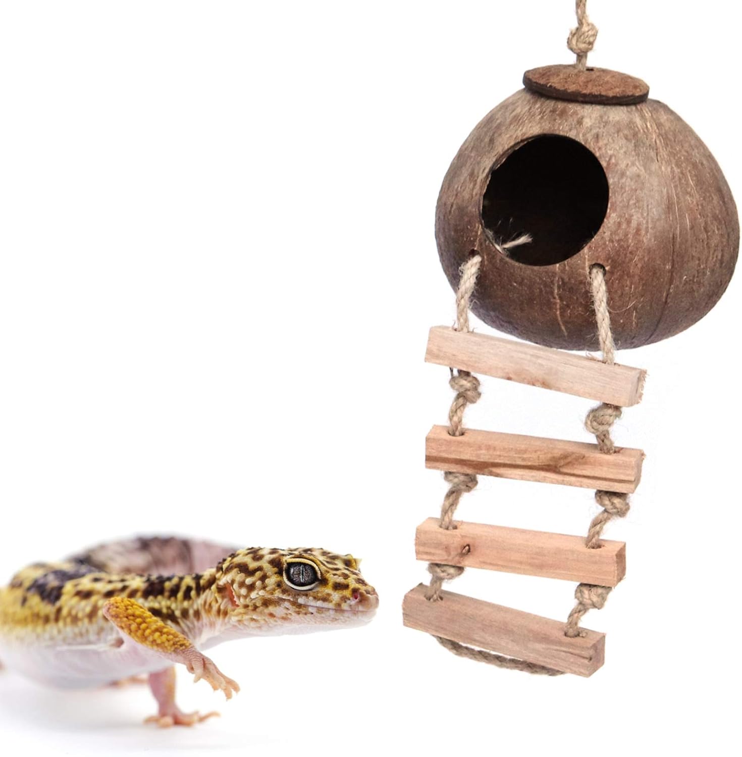 Gecko Coco Husk Hideouts Nichoir avec échelle, Texture Coco fournit de la Nourriture, Habitat Durable avec Boucle de Suspension pour léopard, Reptiles, Amphibiens et Petits Animaux