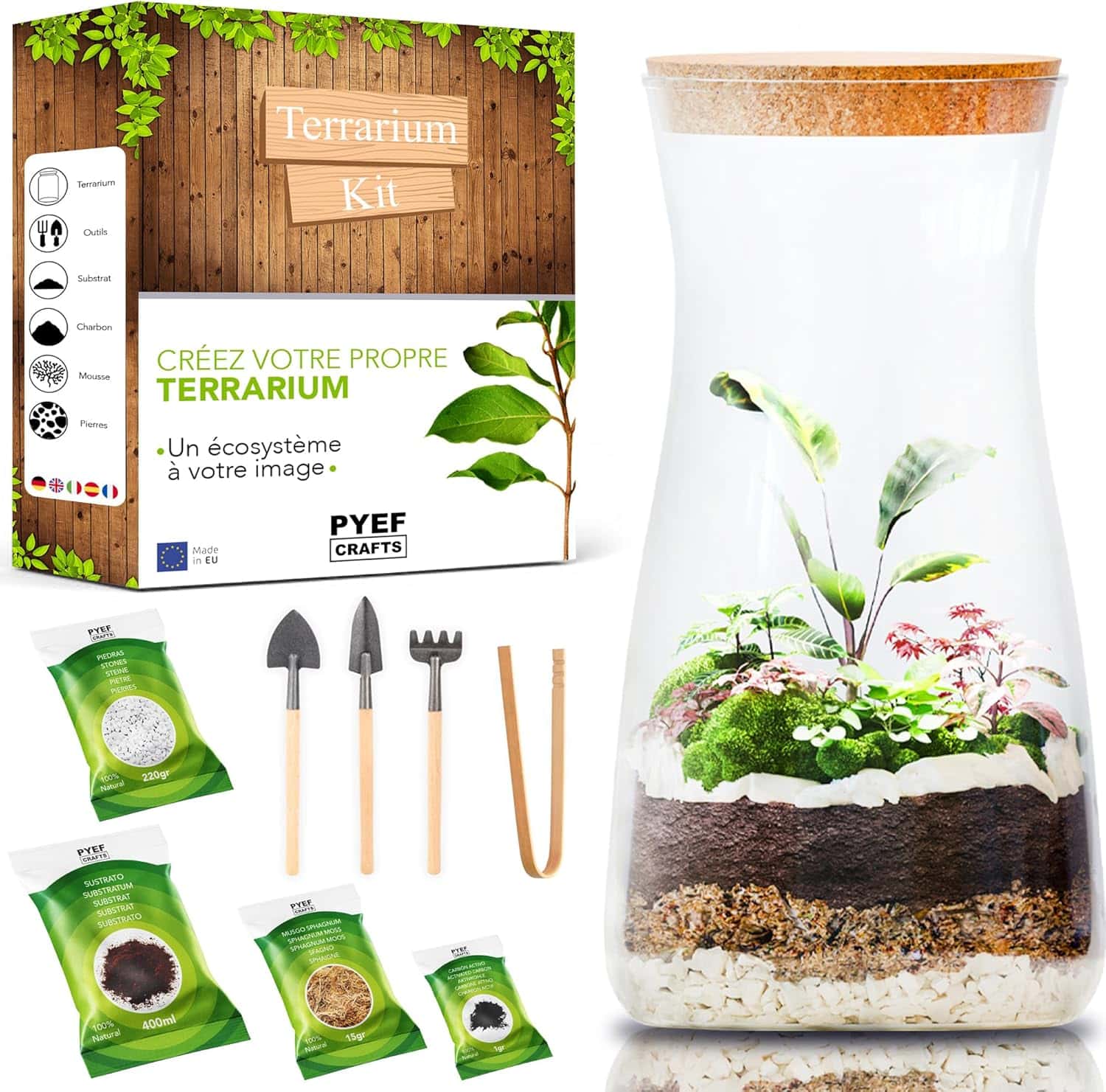 Kit Terrarium Plante DIY avec Verre - Kit Prêt-à-Pousser Terrarium pour la Création de Jardin en Bouteille - Prêt-Pousser Terrarium Plante -Kit pour Faire Pousser -sans Plante (Kit avec Bouteille)