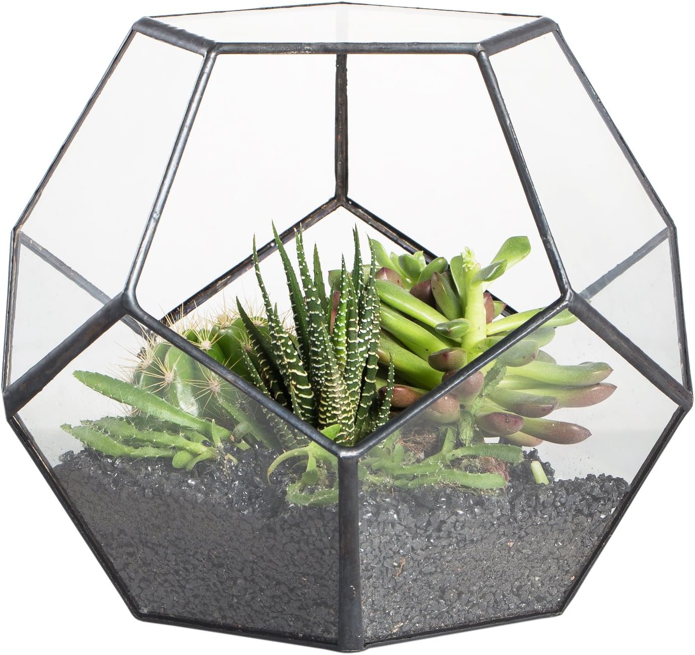 NCYP Noire Géométrique Terrarium en Forme de dodécaèdre et plaques Transparent de Verre pentagonales pour Plante (Pas de Plantes)