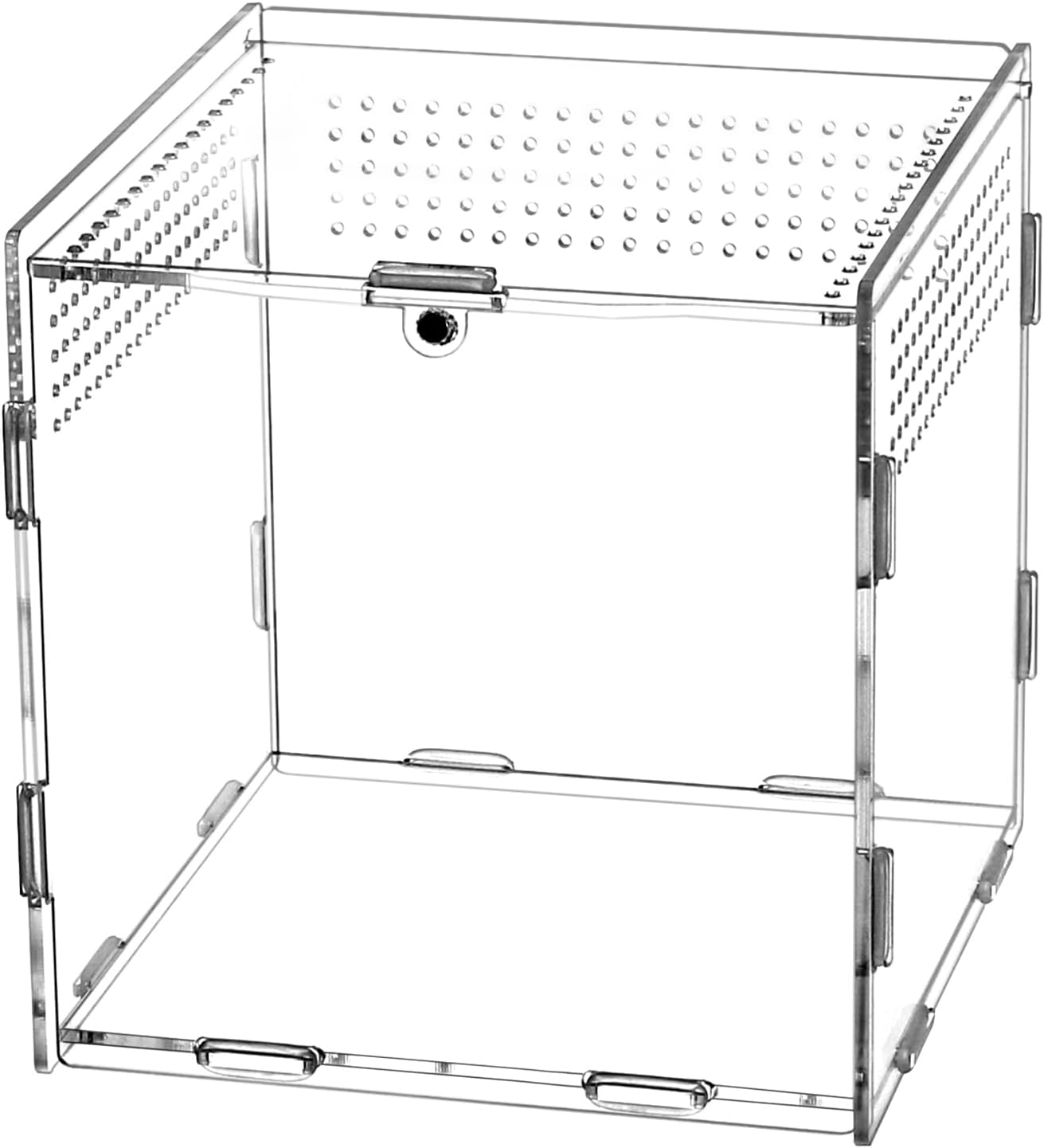 QWORK® Terrarium Acrylique, boîte d'alimentation d'insectes, 15 × 15 × 15 cm pour mante Religieuse, araignées, lézards, escargots