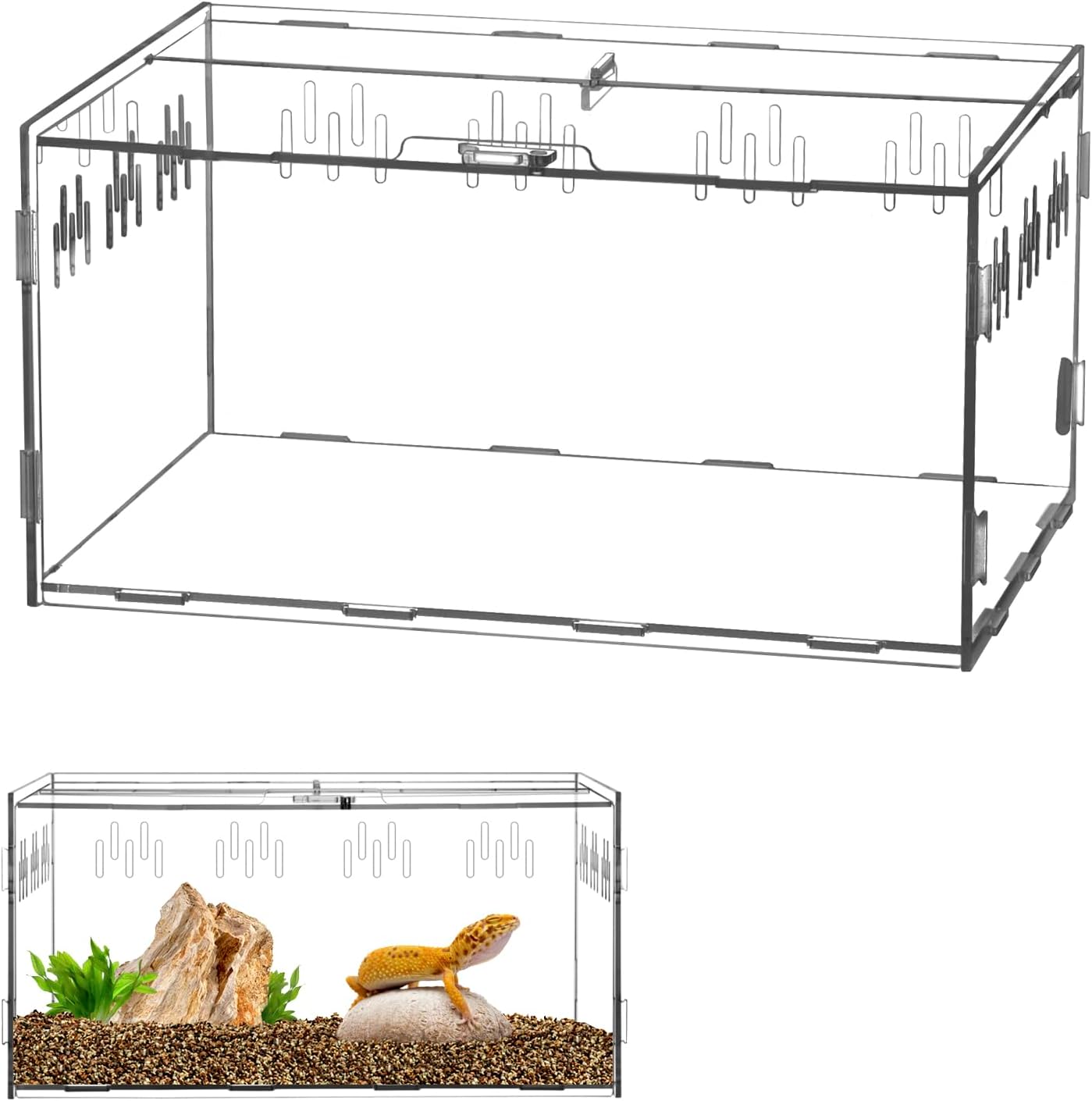 QWORK® Terrarium Acrylique, boîte d'alimentation d'insectes, 30x20x15cm pour mante Religieuse, araignées, lézards, escargots