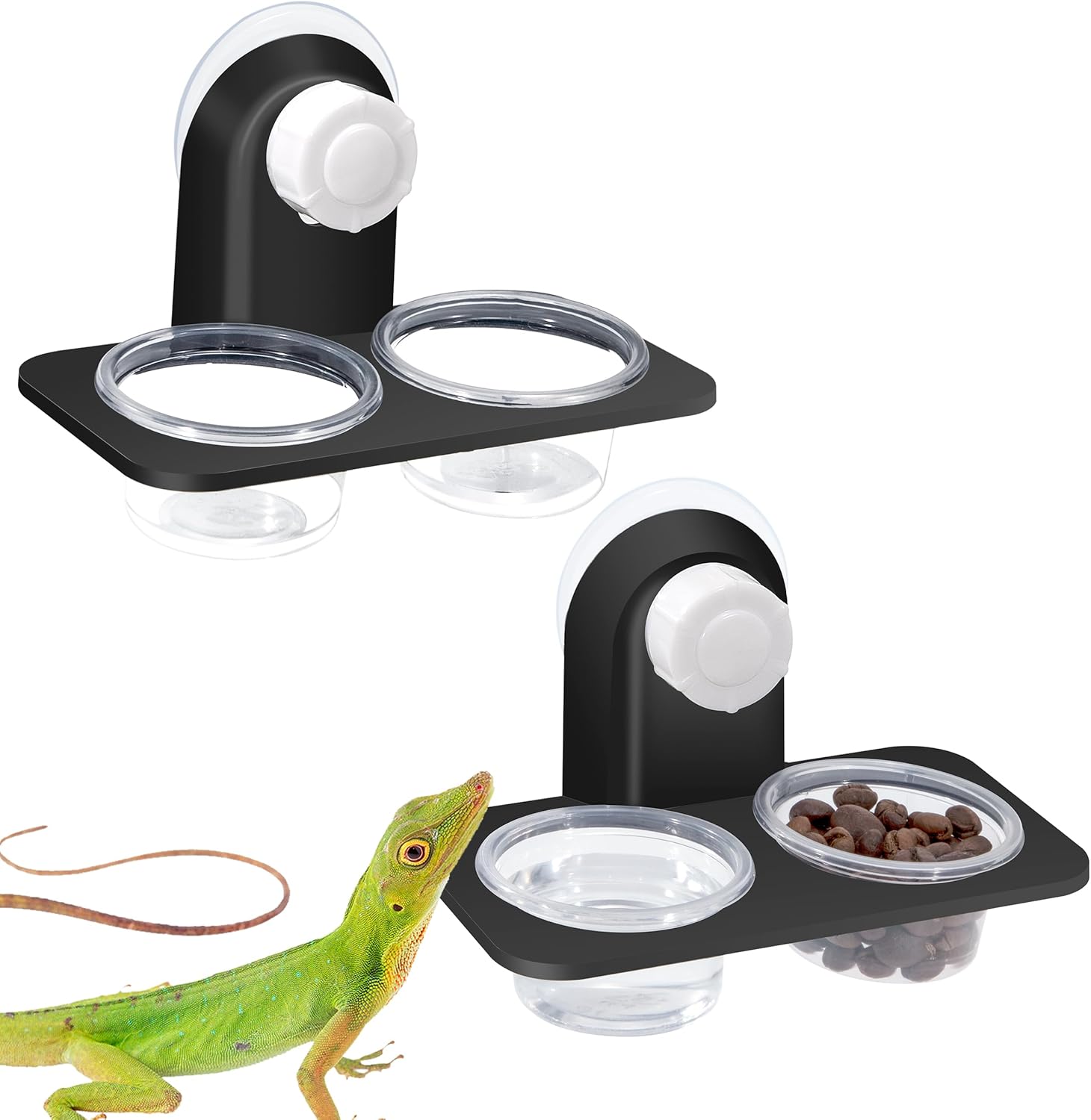 YSQEVN Reptile Feeder avec Ventouse 2 pièces Mangeoire pour Reptiles Bol d'eau et De Nourriture pour Gecko Lézards Caméléon Araignées Bol Double Transparent