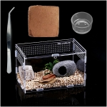 Ensemble de récipient en Verre d'insecte, récipient en Verre Acrylique, Habitat Portable pour Reptiles et Amphibiens, adapté aux araignées, lézards, Grenouilles, Scorpions, grillons, Geckos