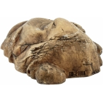 Exoterra Reptile Cave Cachette Naturelle pour Reptile/Amphibien Taille L
