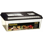 Exoterra Terrarium Polyvalent pour Reptile/Amphibien 46 x 30 x 17 cm