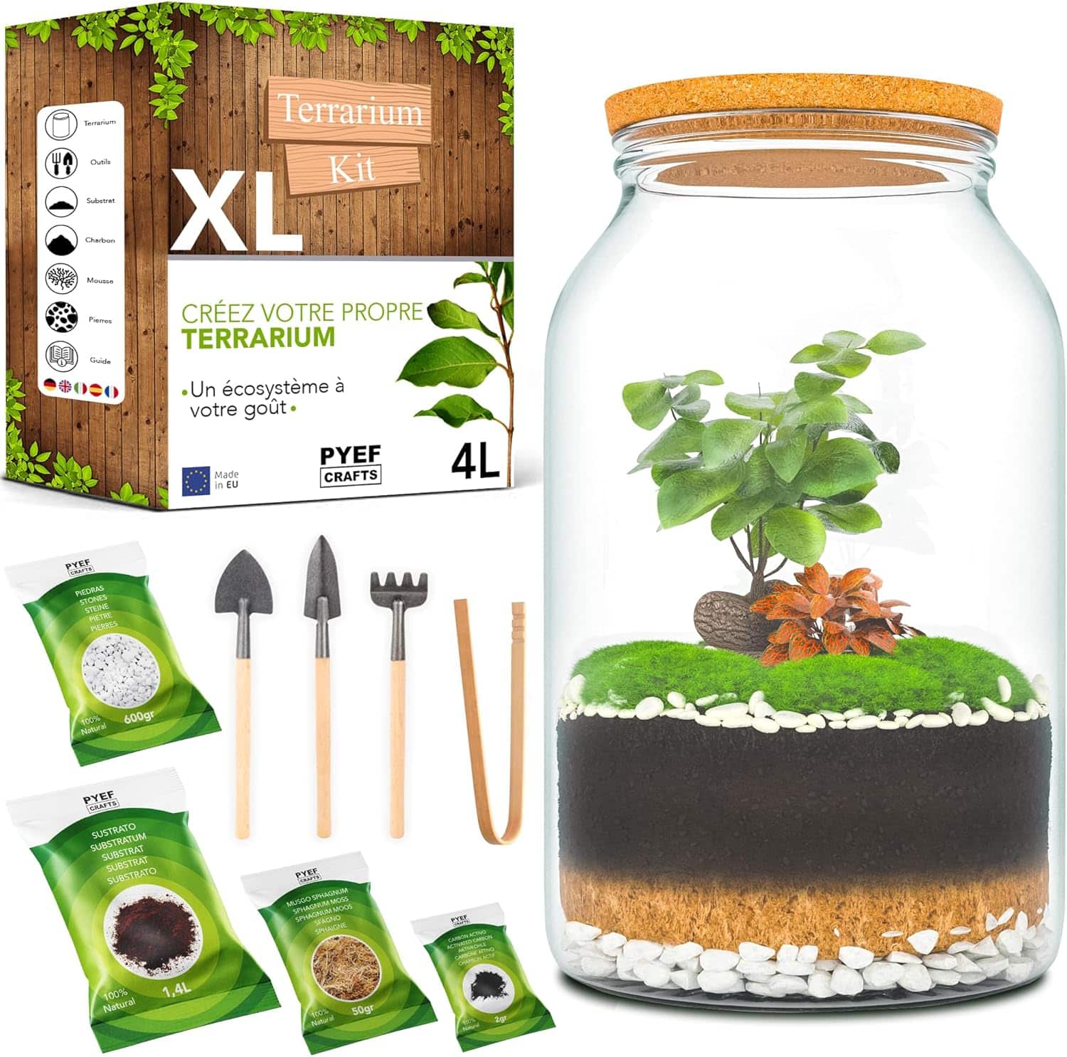 PYEF CRAFTS DIY Kit Terrarium Plante XL avec Verre - Terrarium Plante Verre 4L - Kit DIY a Faire Pousser pour Jardin en Bouteille - Terrarium en Verre XL - sans Plante (Kit avec Bouteille 4L)