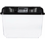 Plastique Boîte transport et d'élevage, 24 × 17 × 16 cm, couleur aléatoire