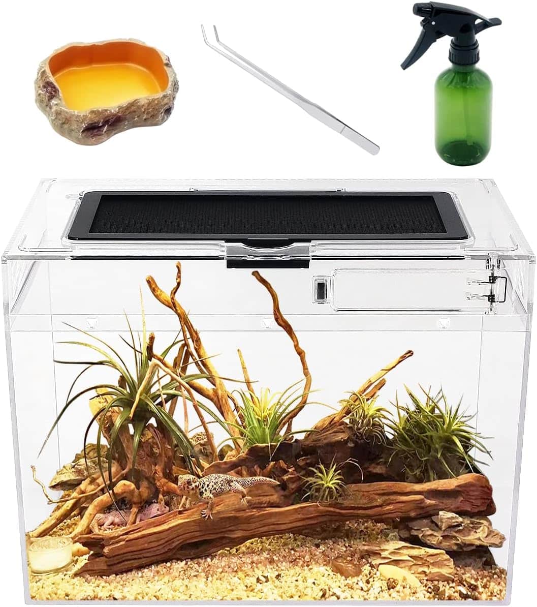 Reptile Growth PC Trousse de Terrarium Reptile, 12" x 7"x 9" PC terrariums avec Vue complète visuellement Attrayante, Vivarium pour Léopard Gecko Barbu Dragon Lézard Escargot Tarentule Serpent Tortue